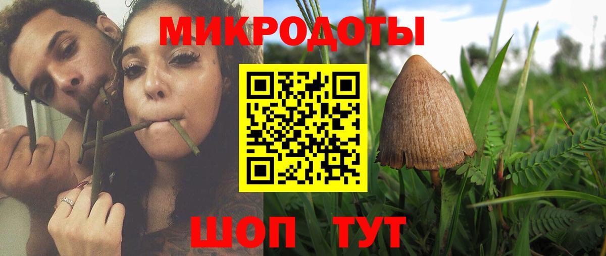 Галлюциногенные грибы GOLDEN TEACHER Краснознаменск