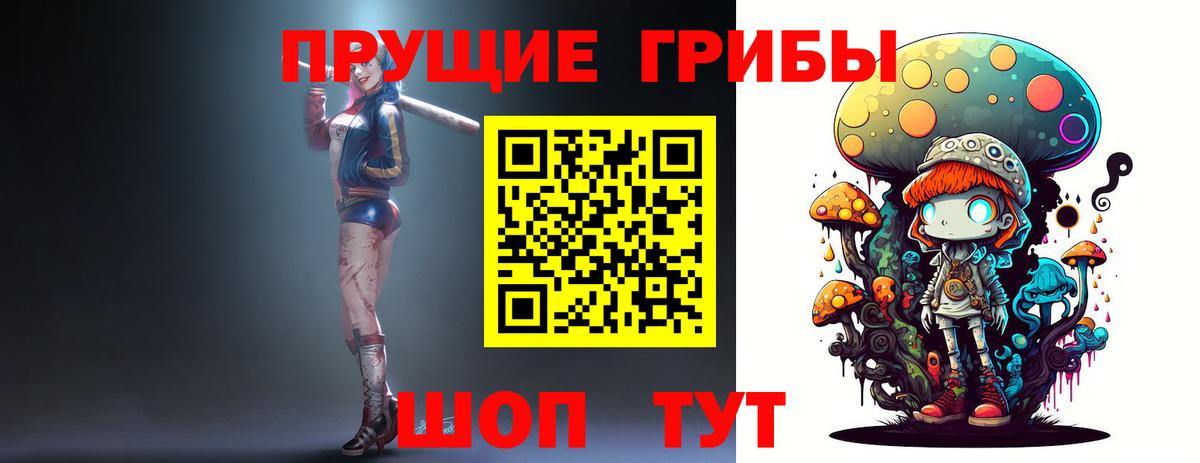 Псилоцибиновые грибы MAGIC MUSHROOMS  Вход с VPN  Псилоцибиновые грибы Cubensis  Краснознаменск 