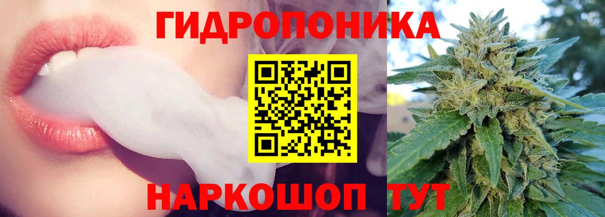 Конопля гибрид Краснознаменск